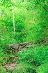 BIB: 
                            <button type="button" onclick="openModal(22090522)" class="btn btn-primary btn-sm float-right btn-popup" data-toggle="modal" data-target=".modal-high-quality">
                        <i class="fas fa-shopping-cart"></i> Add to Cart
                    </button>
                                            <button type="button" onclick="isThisMe(22090522, true)" class="btn btn-success btn-sm float-right btn-popup btn-isme hidden" data-toggle="tooltip" data-placement="bottom" title="นี่คือรูปของคุณใช่ไหม คลิกที่นี่เพื่อเอาเข้าอัลบั้ม">
                        <i class="fas fa-plus"></i> Add to album
                    </button>
                    <button type="button" onclick="isThisMe(22090522, false)" class="btn btn-warning btn-sm float-right btn-popup btn-isnotme hidden">
                        <i class="fas fa-ban"></i> Remove from album
                    </button>